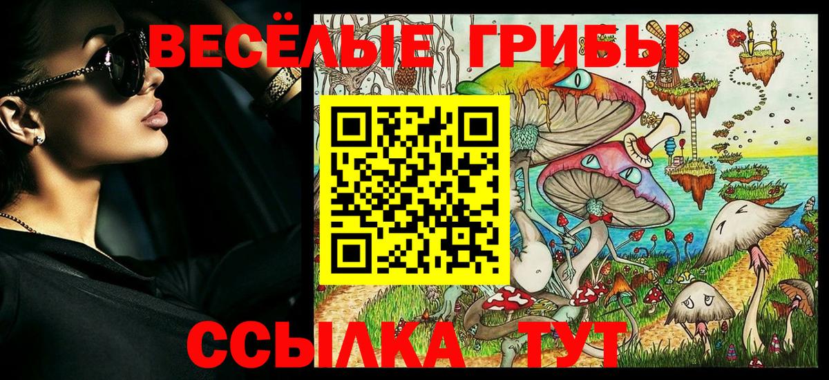 Псилоцибиновые грибы Magic Shrooms Димитровград