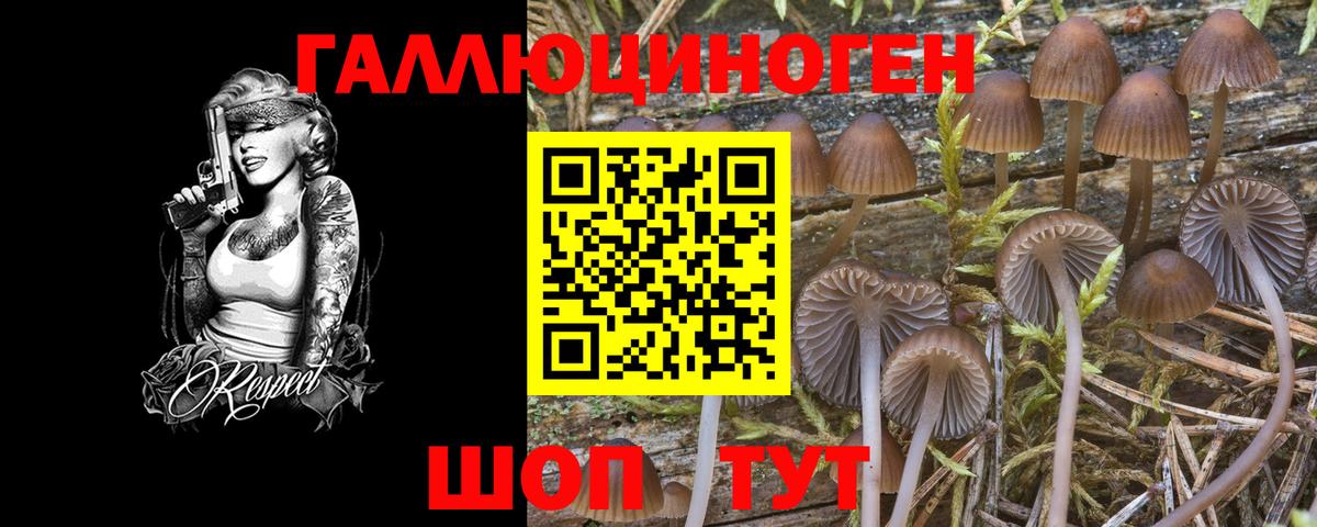 Псилоцибиновые грибы Psilocybe  купить наркотик  Димитровград  Вход с VPN  Псилоцибиновые грибы мицелий 