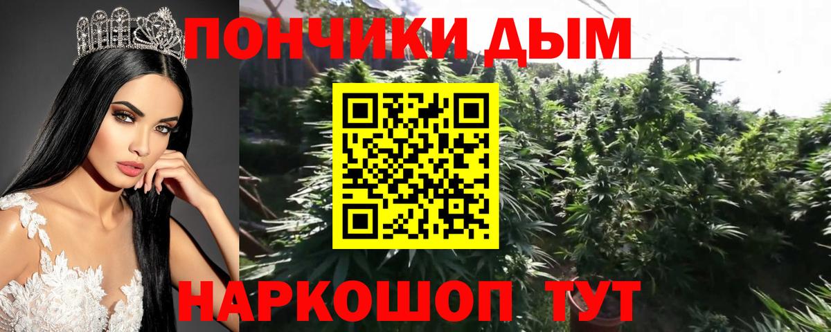 Конопля гибрид Димитровград